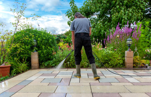 Animal Enclosure Cleaning in Plainfield, NJ